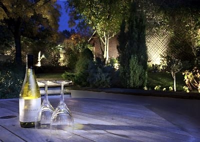 Garden Lighting Design Surrey - Light Your Garden